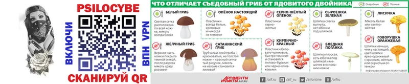 kraken онион Нестеровская Галлюциногенные грибы прущие грибы закладки